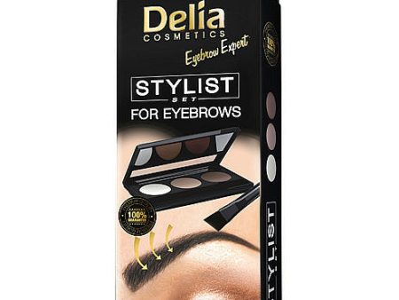 Delia Stylist Set For Eyebrows For Cheap